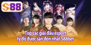Các giải đấu esport