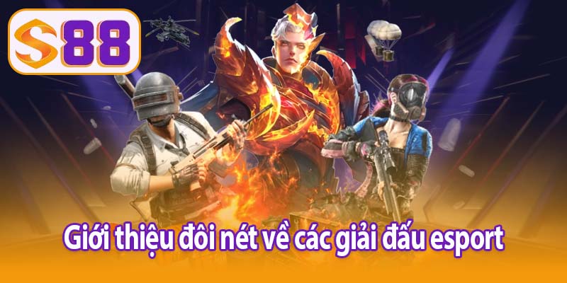 Giới thiệu đôi nét về các giải đấu esport 