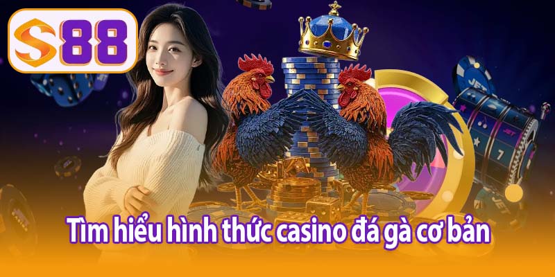 Tìm hiểu hình thức casino đá gà cơ bản