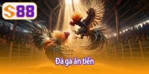 Đá gà ăn tiền