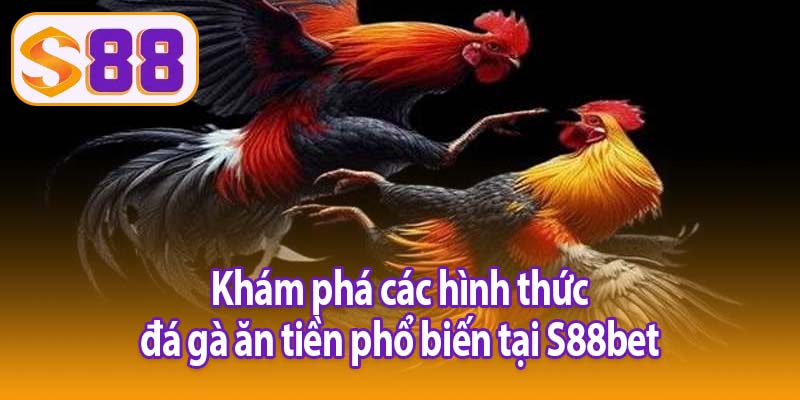 Khám phá các hình thức đá gà ăn tiền phổ biến tại S88bet