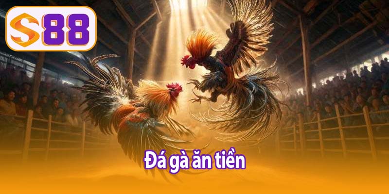 Đá gà ăn tiền