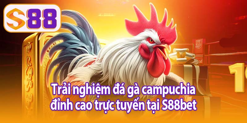 Trải nghiệm đá gà campuchia đỉnh cao trực tuyến tại S88bet