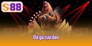 đá gà cựa dao