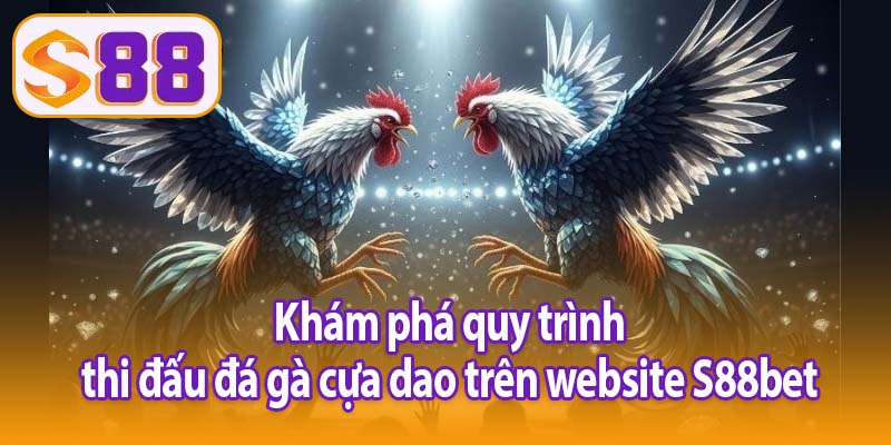 Khám phá quy trình thi đấu đá gà cựa dao trên website S88bet