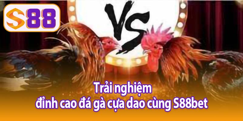 Trải nghiệm đỉnh cao đá gà cựa dao cùng S88bet 