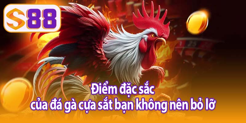 Điểm đặc sắc của đá gà cựa sắt bạn không nên bỏ lỡ