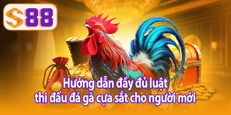 Hướng dẫn đầy đủ luật thi đấu đá gà cựa sắt cho người mới