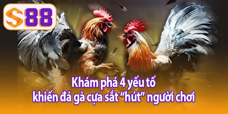 Khám phá 4 yếu tố khiến đá gà cựa sắt “hút” người chơi