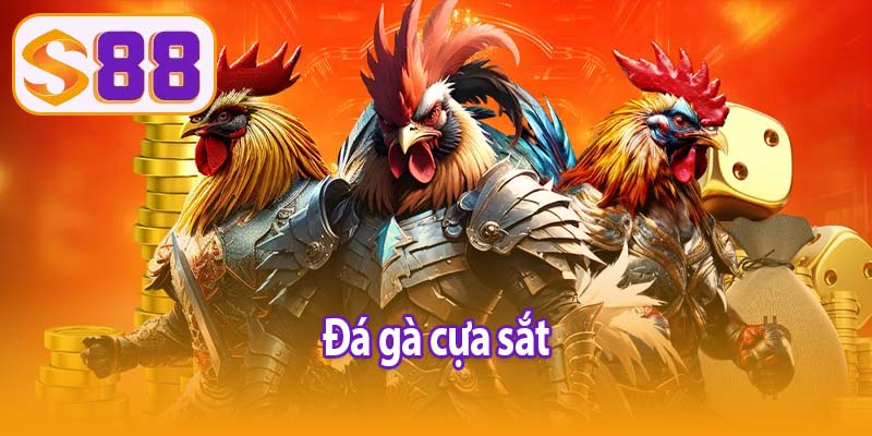 Đá gà cựa sắt