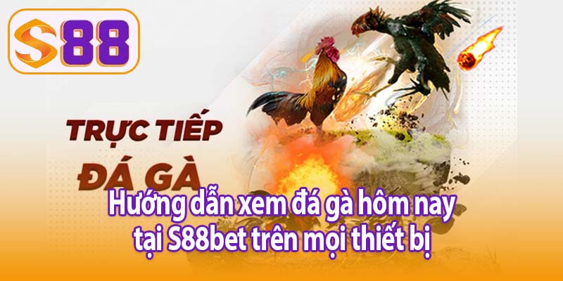 Hướng dẫn xem đá gà hôm nay tại S88bet trên mọi thiết bị