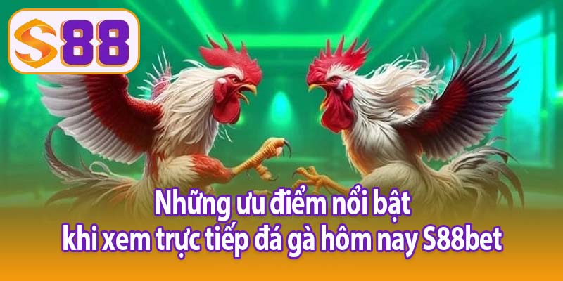 Những ưu điểm nổi bật khi xem trực tiếp đá gà hôm nay S88bet