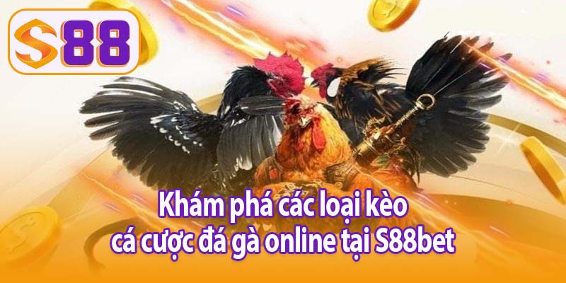Khám phá các loại kèo cá cược đá gà online tại S88bet