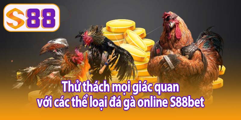 Thử thách mọi giác quan với các thể loại đá gà online S88bet
