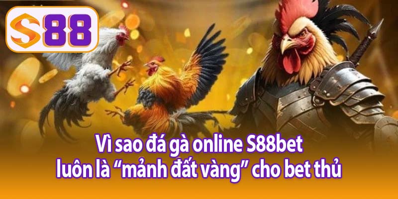 Vì sao đá gà online S88bet luôn là “mảnh đất vàng” cho bet thủ