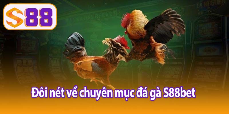 Đôi nét về chuyên mục đá gà S88bet 