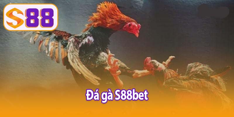 Đá gà S88bet
