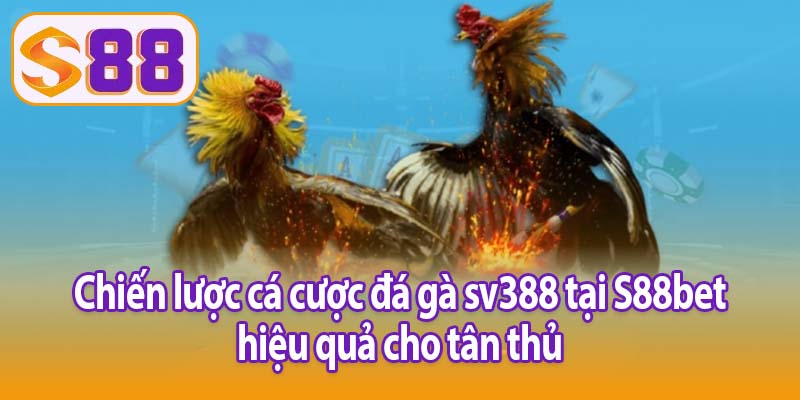 Chiến lược cá được đá gà sv388 tại S88bet hiệu quả cho tân thủ
