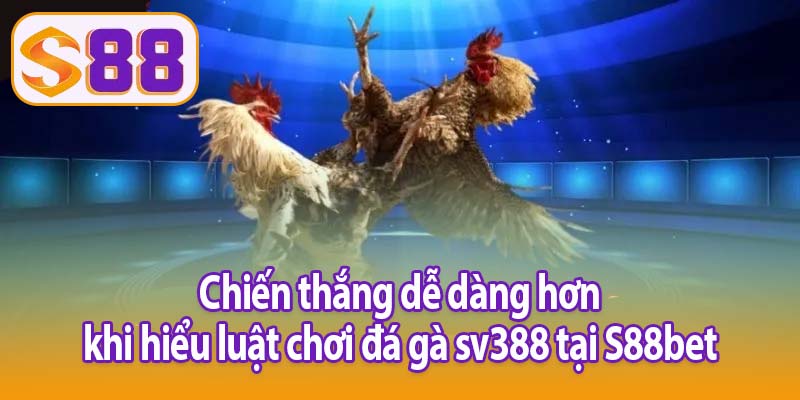 Chiến thắng dễ dàng hơn khi hiểu luật chơi đá gà sv388 tại S88bet