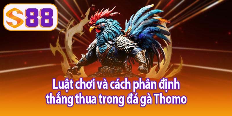 Luật chơi và cách phân định thắng thua trong đá gà Thomo