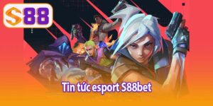 Tin tức Esports