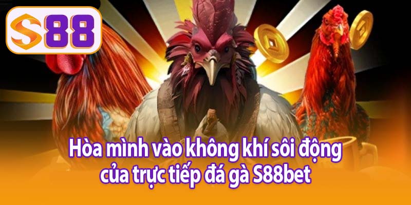 Hòa mình vào không khí sôi động của trực tiếp đá gà S88bet